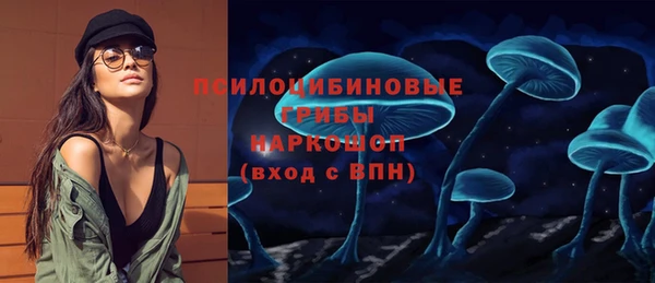 прущие грибы Алексеевка