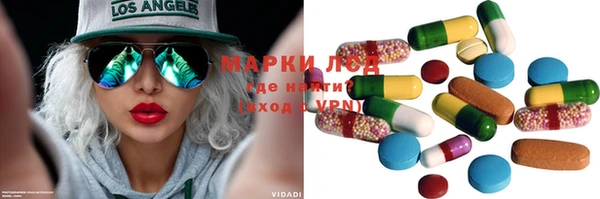 прущие грибы Алексеевка