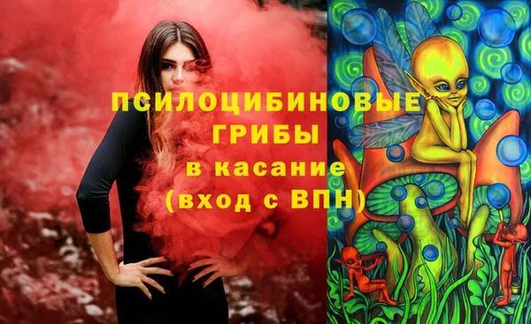 прущие грибы Алексеевка