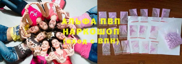 прущие грибы Алексеевка