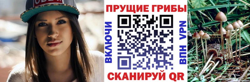 Галлюциногенные грибы прущие грибы  Ивдель 